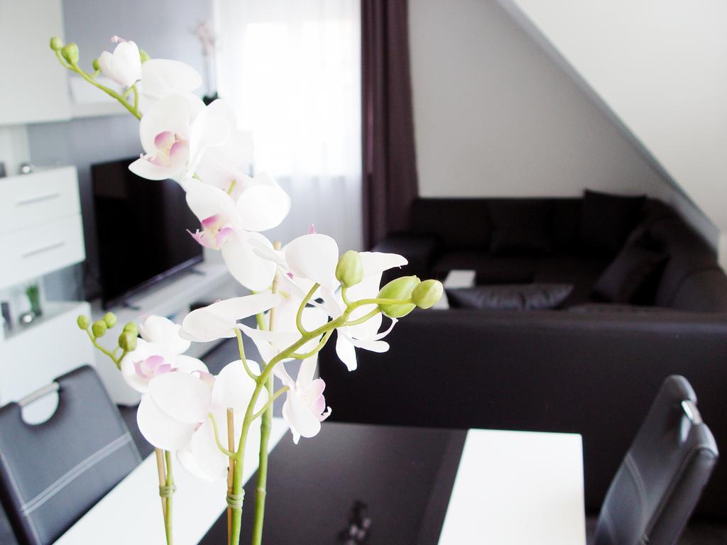 La Domus Premium Osnabrueck Lotte Apartamento Exterior foto